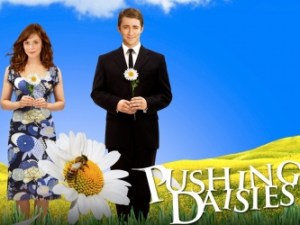 Pushing Daisies Keyart