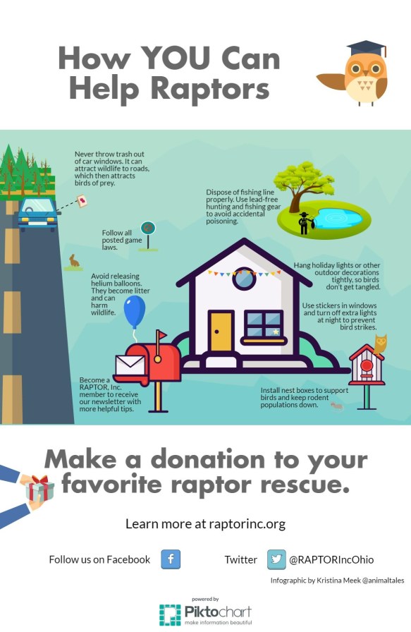 Help-raptors-infographic-final